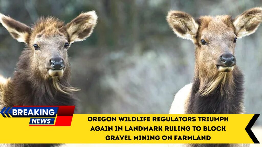 Oregon Wildlife Regulators Triumph Again In Landmark Ruling To Block Gravel Mining On Farmland
