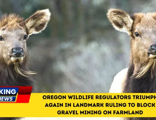 Oregon Wildlife Regulators Triumph Again In Landmark Ruling To Block Gravel Mining On Farmland