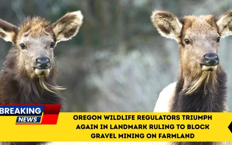 Oregon Wildlife Regulators Triumph Again In Landmark Ruling To Block Gravel Mining On Farmland